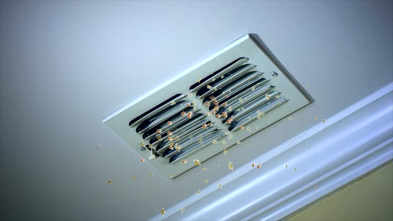 Best Air Duct Cleaning Near Me  in Warrenton, MO