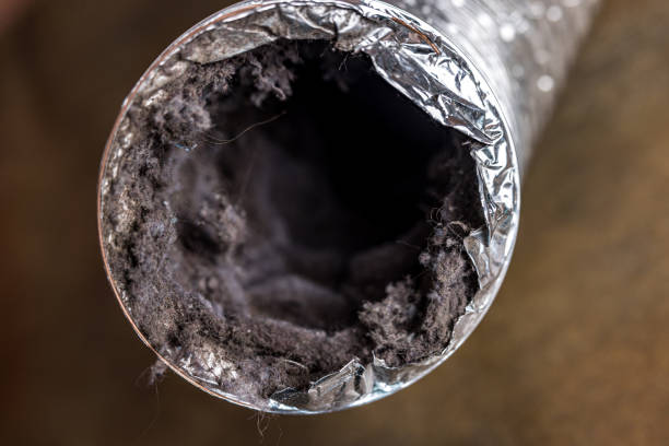 Best HVAC System Cleaning  in Warrenton, MO
