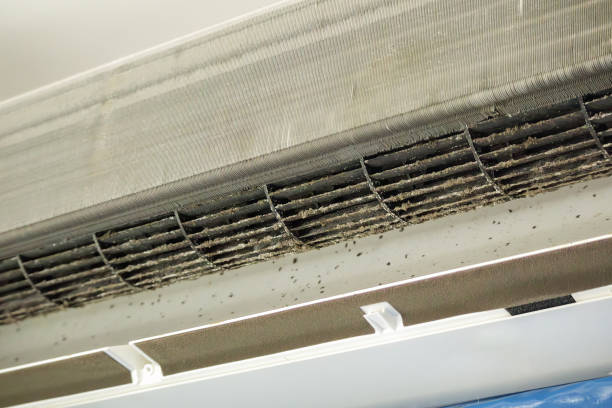 Best Ventilation Cleaning Services  in Warrenton, MO